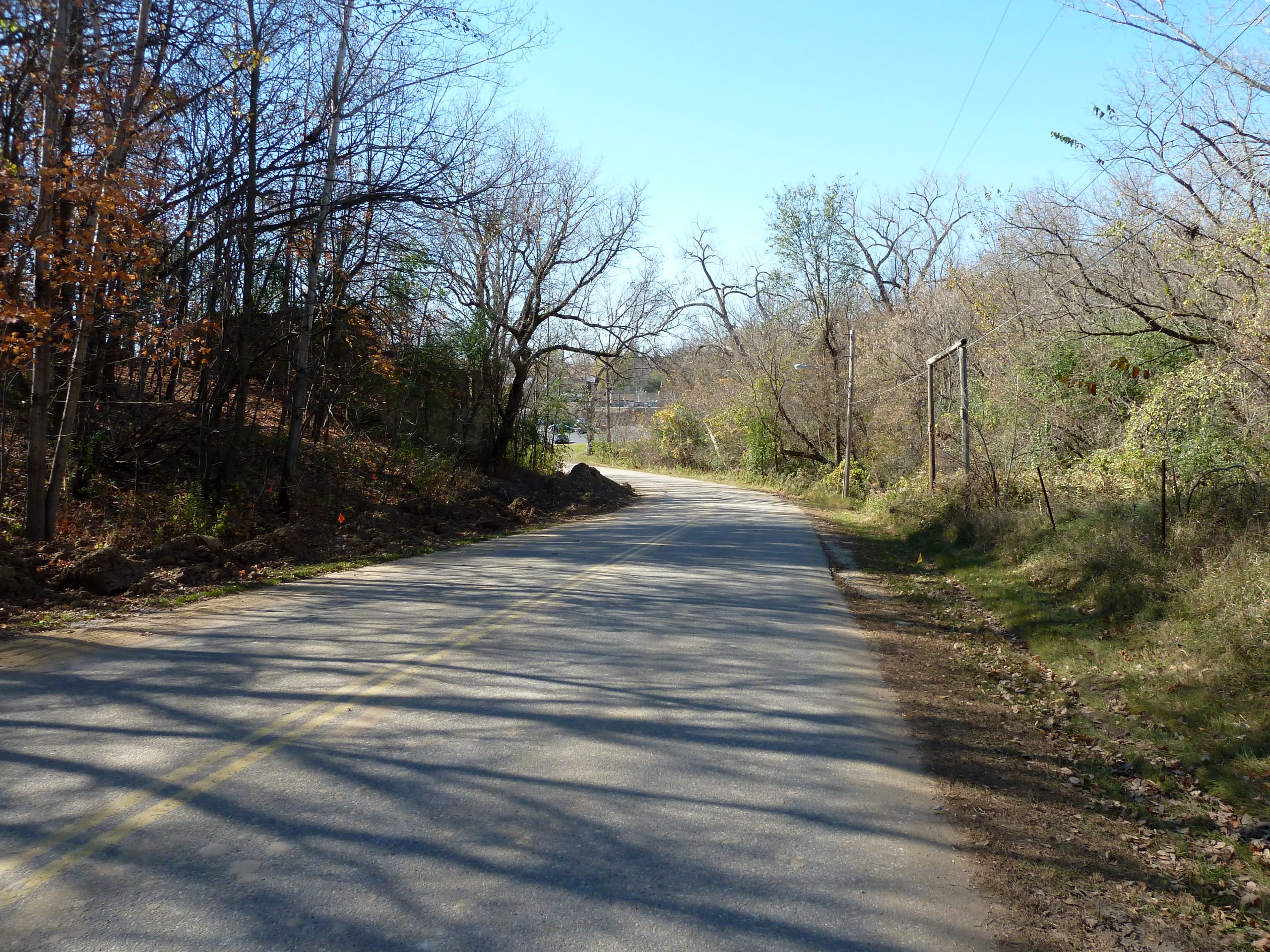 2010-1025-MantorvilleRedWingRoad — Dodge County, Minnesota