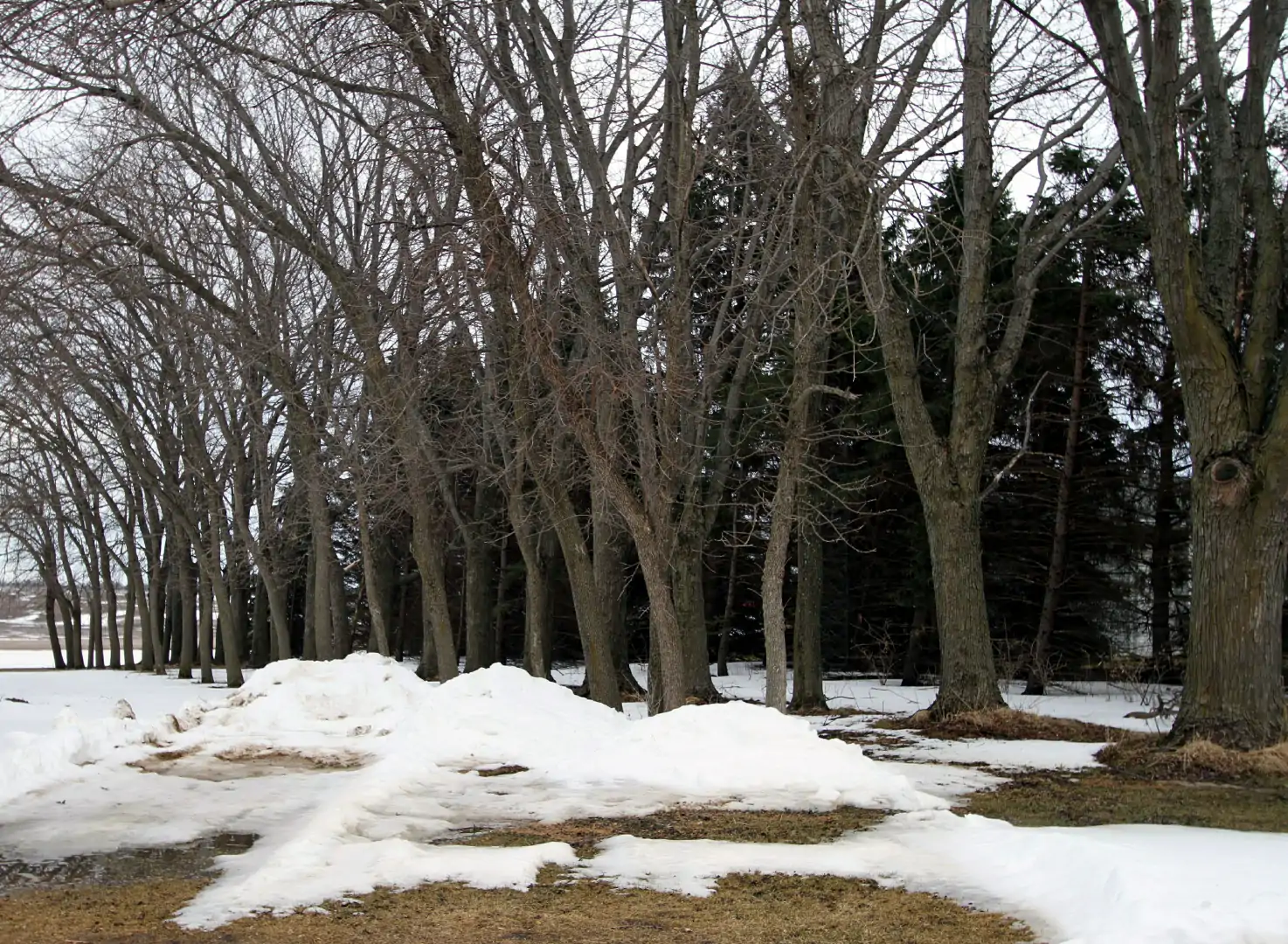 AndrewsOperaFamilyHouseSite — Le Sueur County, Minnesota