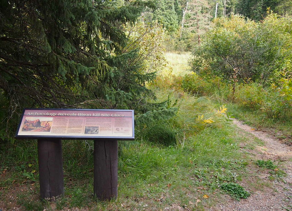 Itasca Bison Site — Clearwater County, Minnesota